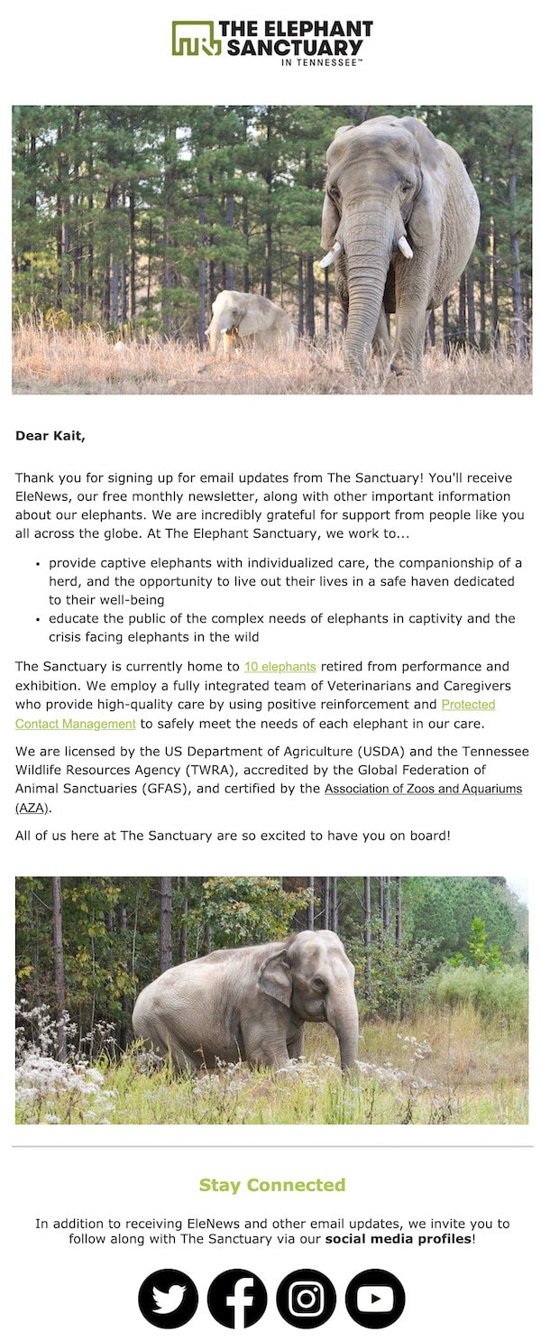 automated welcome email nonprofit example