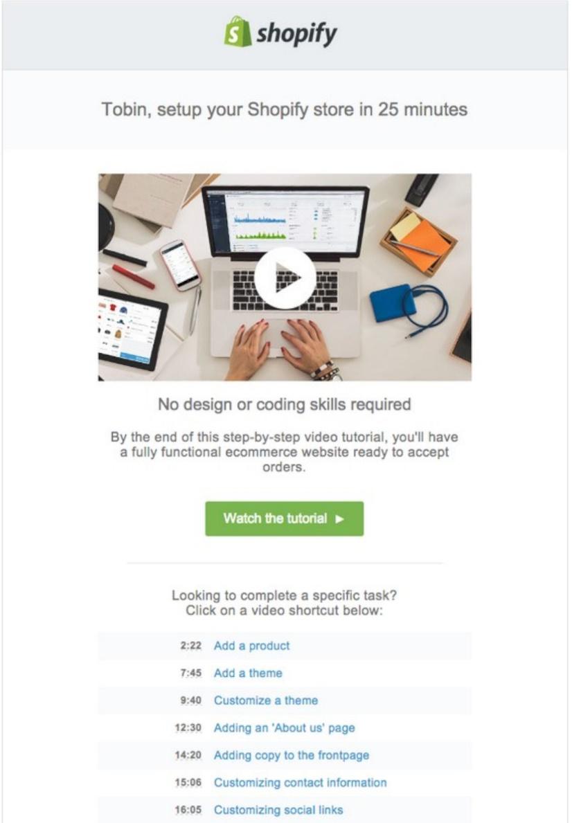 Shopify campaign example