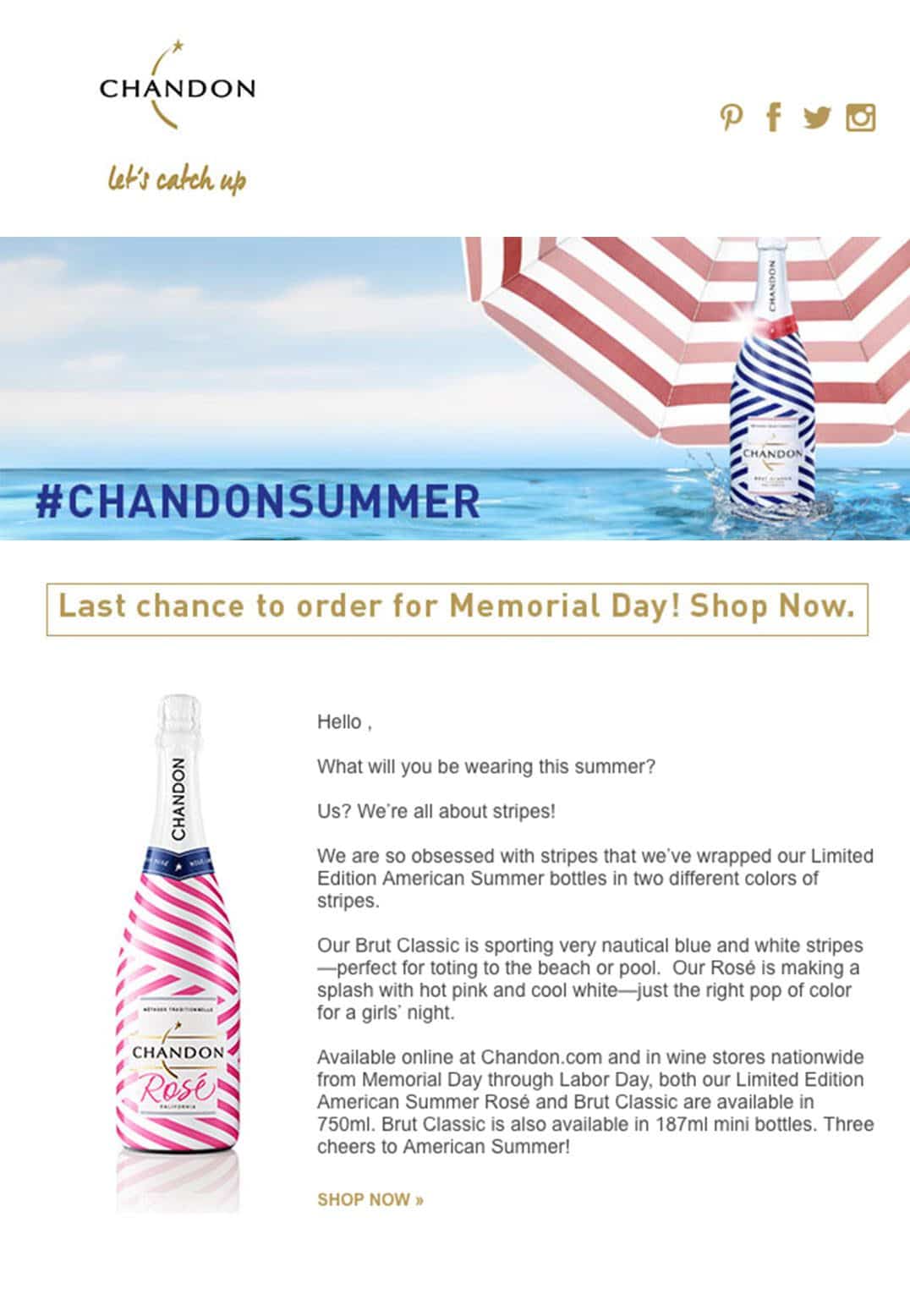 As much as a beautifully designed CTA is important, the well-crafted copy is equally important