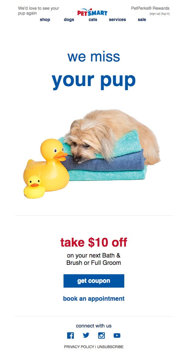Images, used properly, can tug at the emotions and influence your subscribers to respond to your email