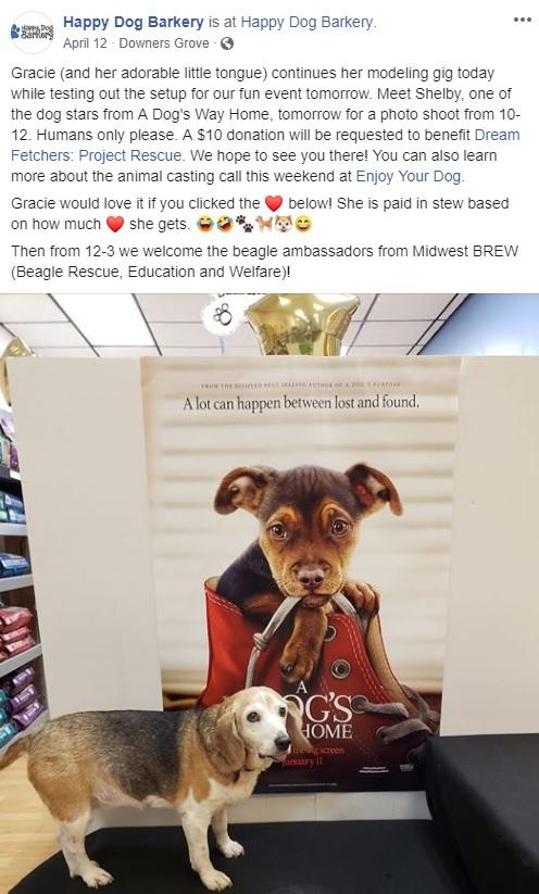 Take this example from a local doggie boutique known as the Happy Dog Barkery. This small-town business is known for their efforts in supporting local dog shelters, and when the opportunity came for them to draw in some extra business while also supporting a foundation to help a larger rescue, they jumped at it.