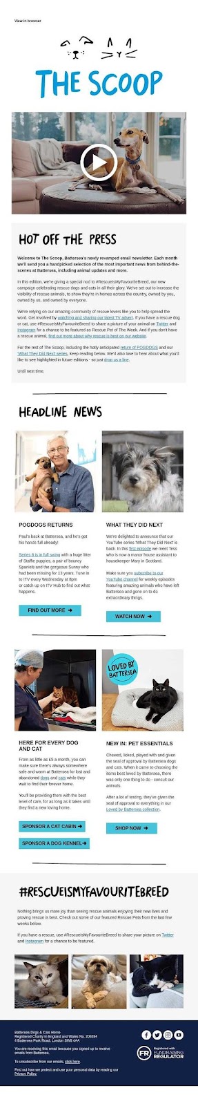 The Scoop email example