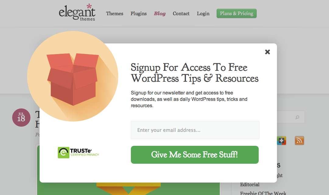 Elegant Themes example
