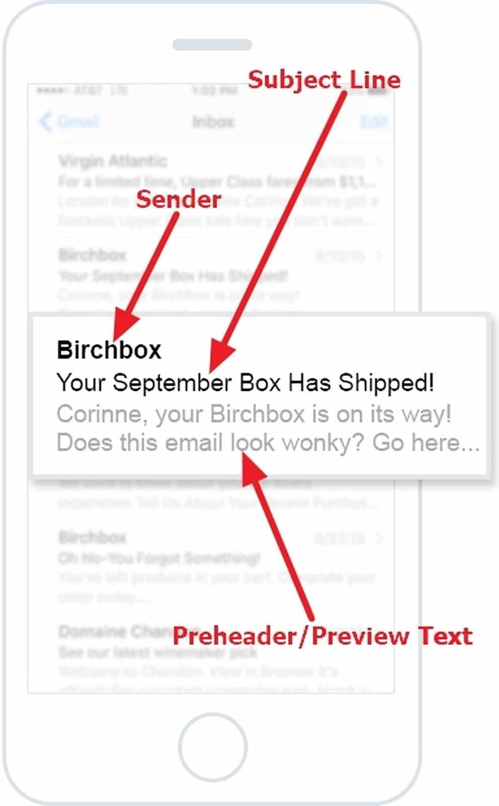 example of BirchBox preheader text