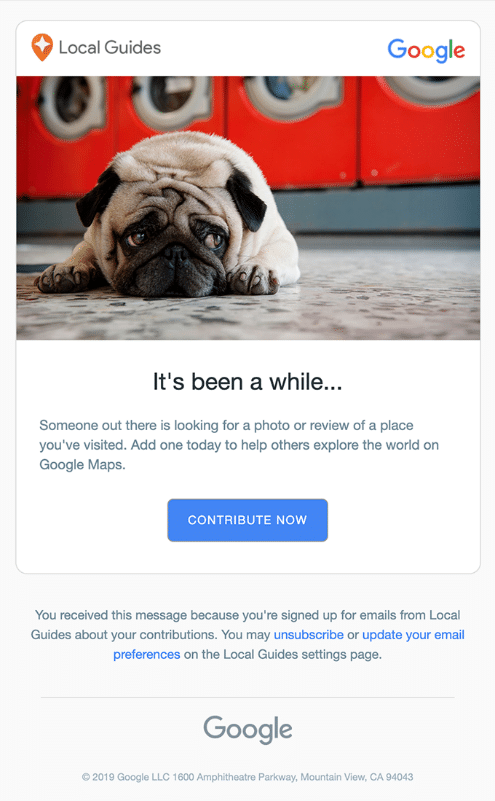 Local Guides email example
