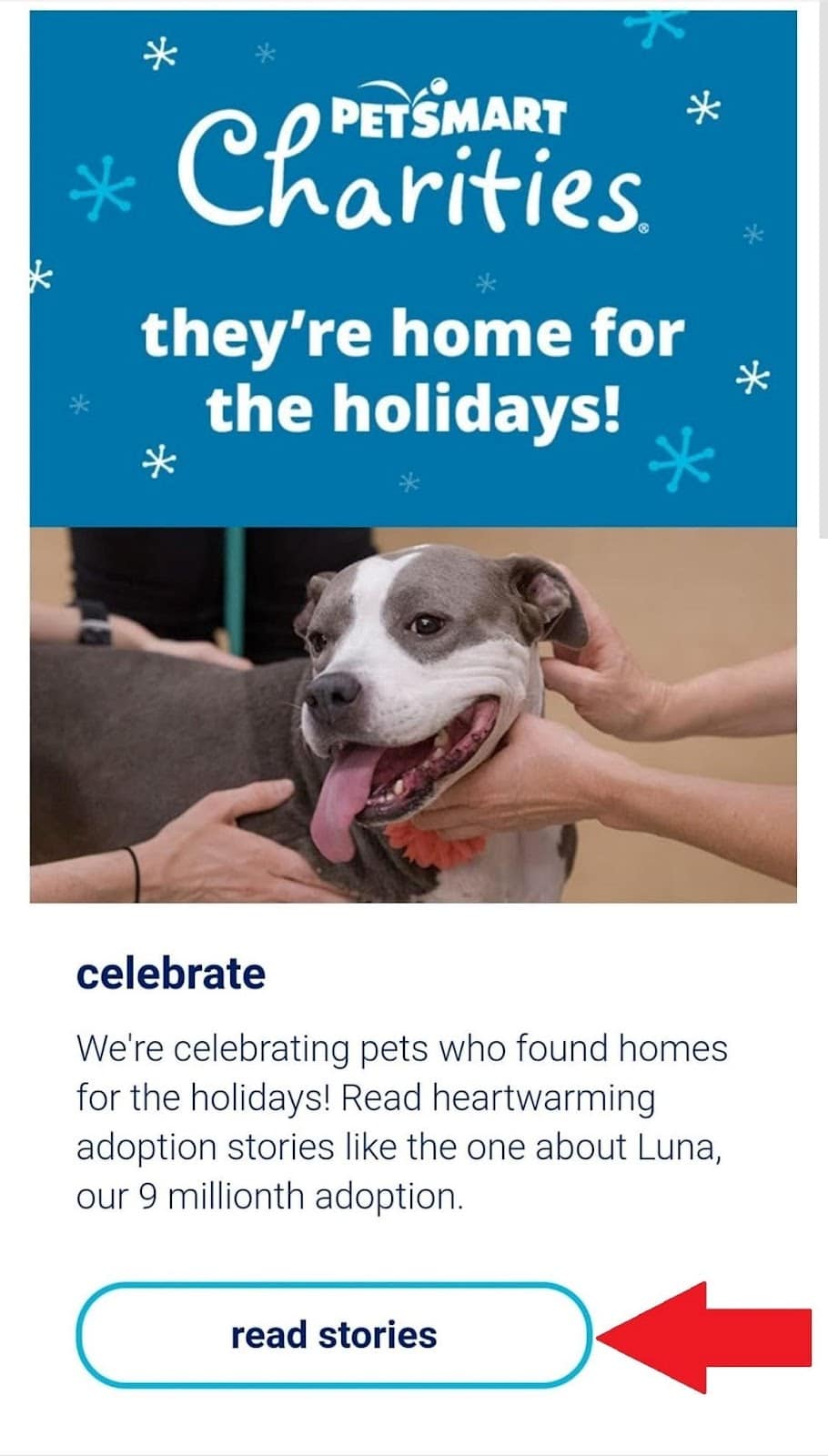 PetSmart CTA example
